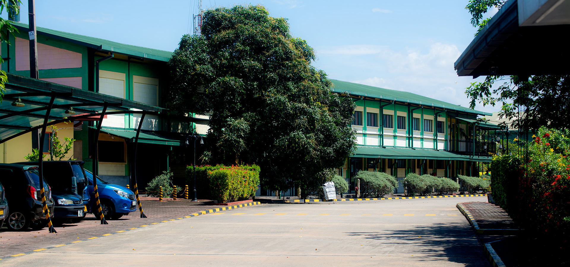 Suntea factory